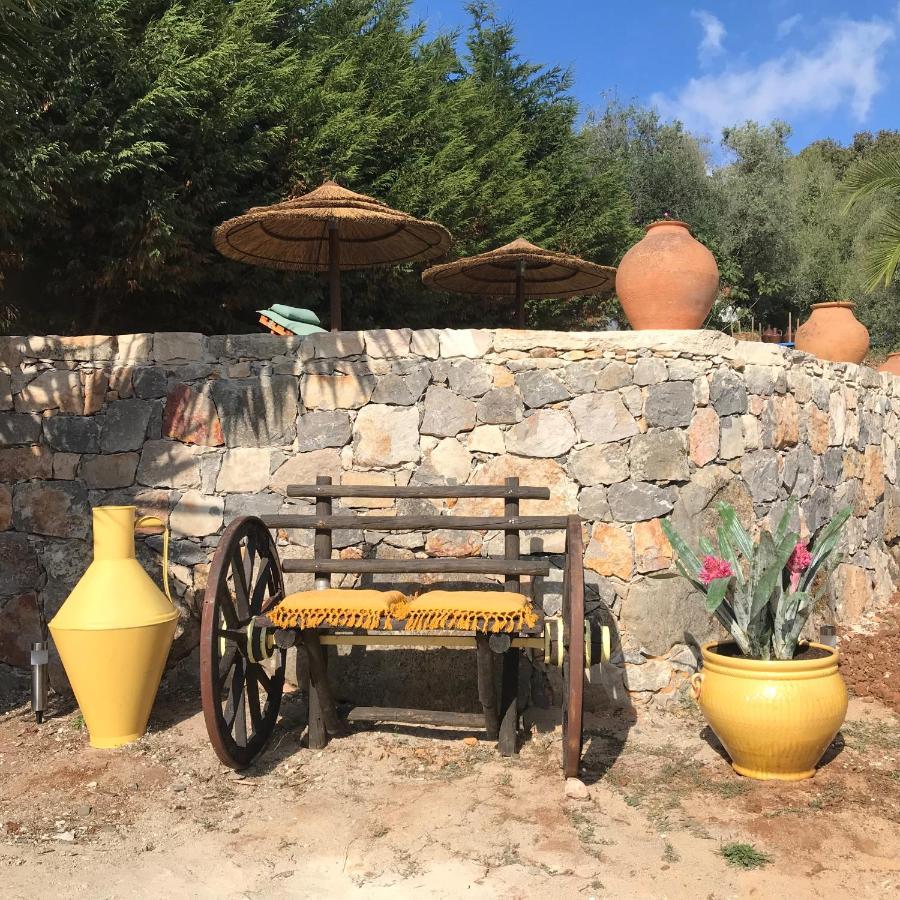 Moradia Rural De Charme Agradavel E Acolhedora Arrimal