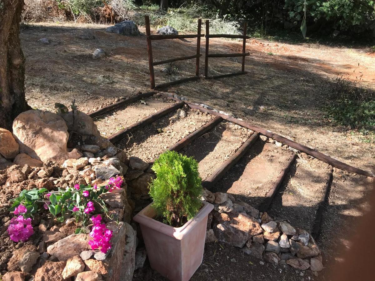 Holiday home Moradia Rural De Charme Agradavel E Acolhedora