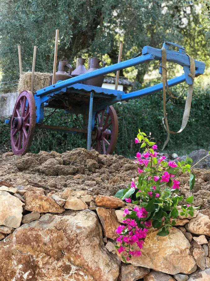 Moradia Rural De Charme Agradavel E Acolhedora Holiday home Arrimal