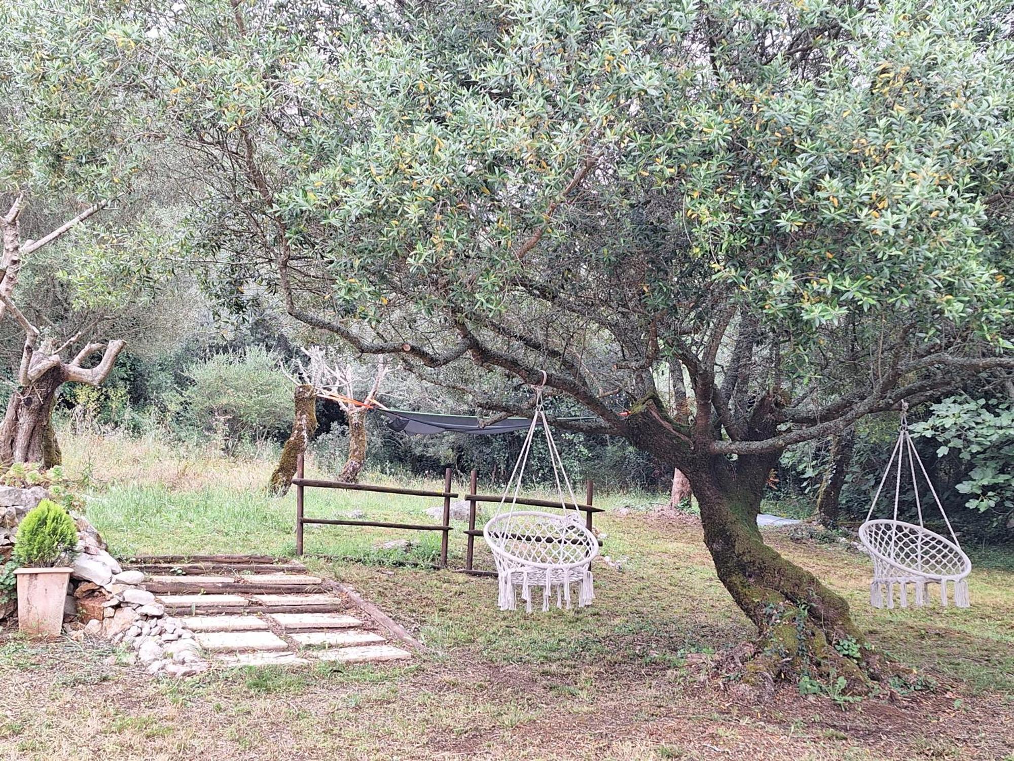 Moradia Rural De Charme Agradavel E Acolhedora * Arrimal
